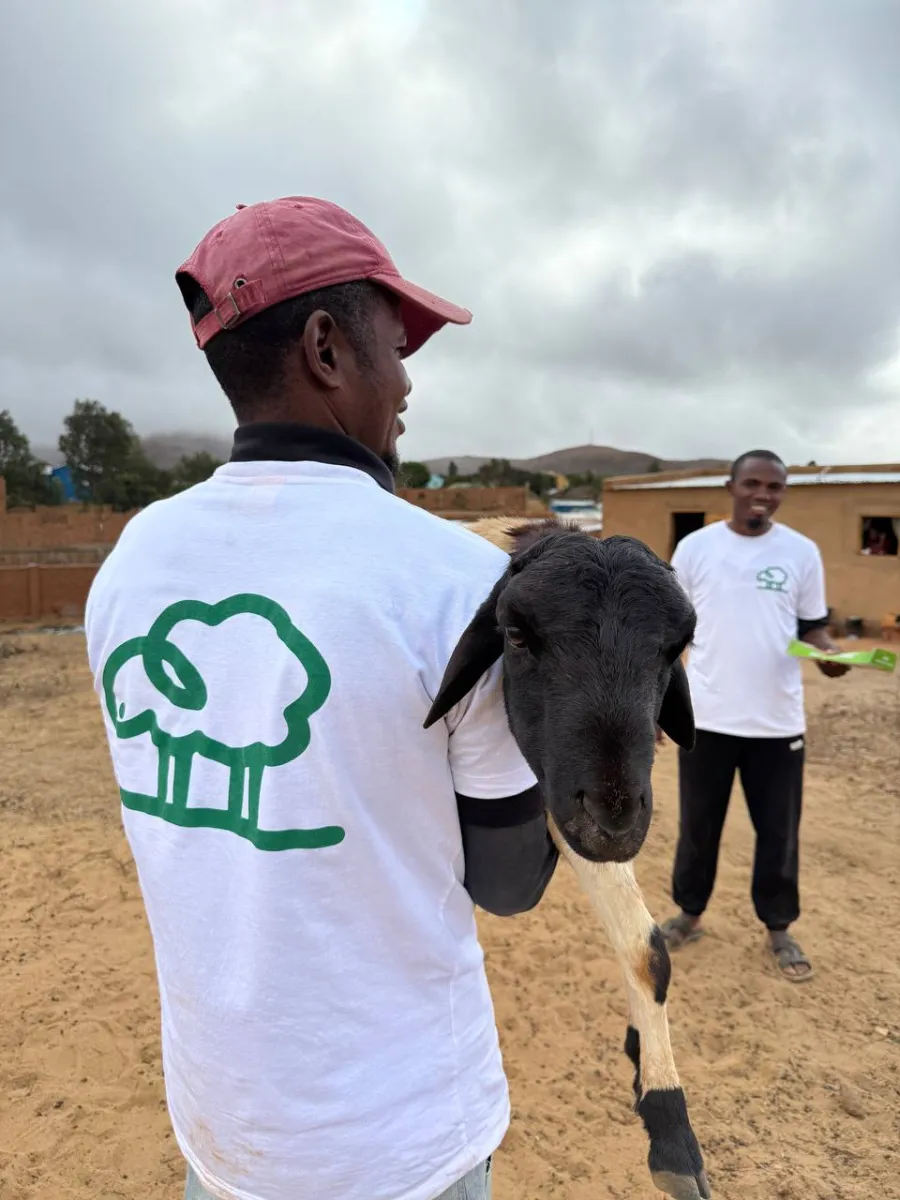 Video proof of the nominative Qurban sacrifice