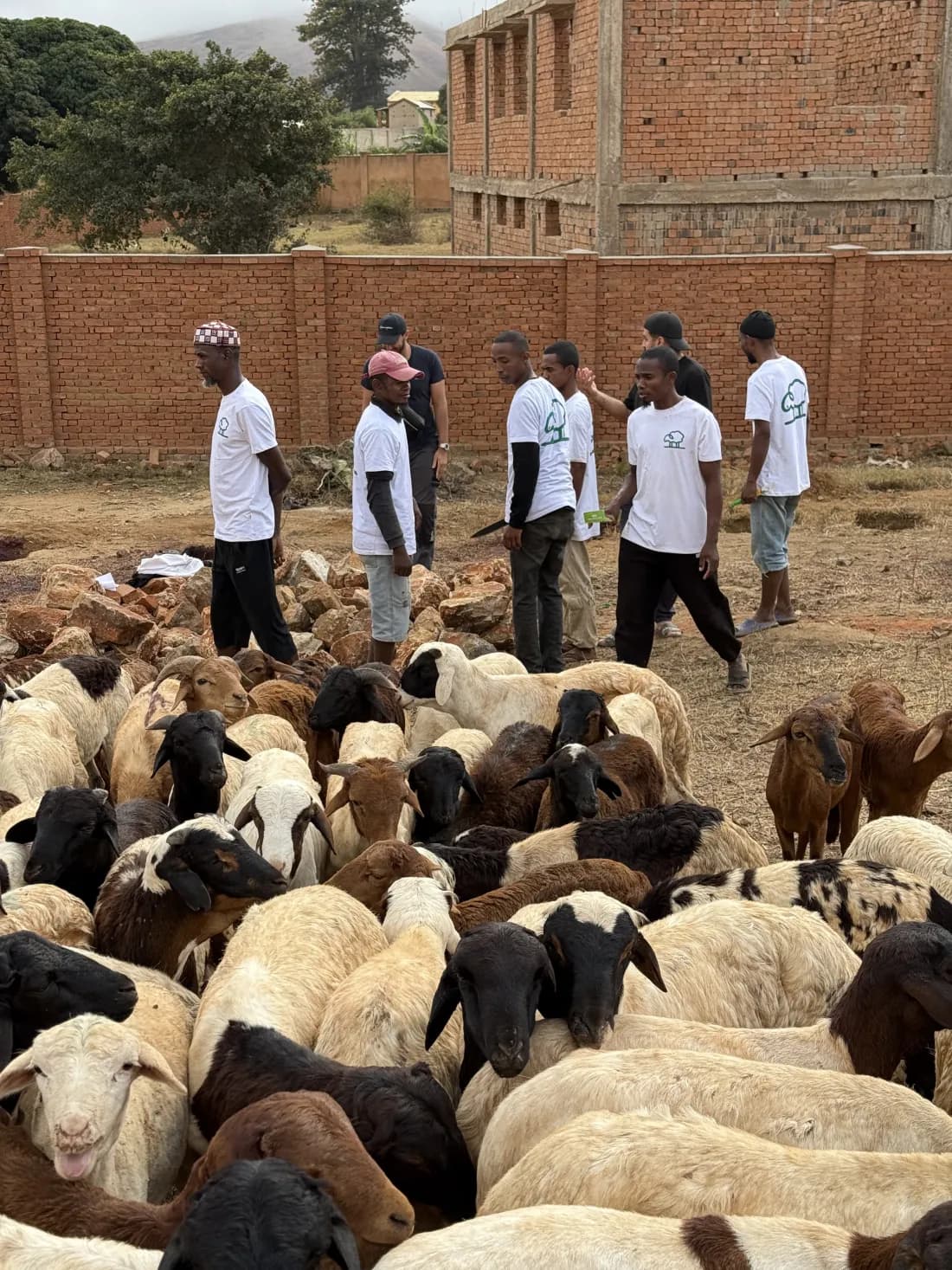 Meals shared thanks to Qurban contributor donations